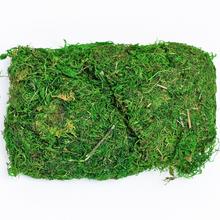 Sušený aranžérský materiál NATUR MACH 50GR