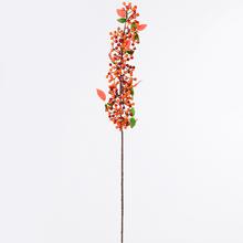 Větve BOBULE MIX 4F - FLORASYSTEM