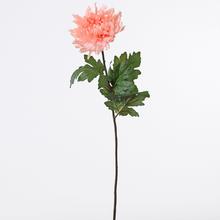 CHRYZ. KS LOSOS 79X18CM - FLORASYSTEM