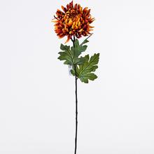 CHRYZ. KS ORANŽ. 60X17CM - FLORASYSTEM