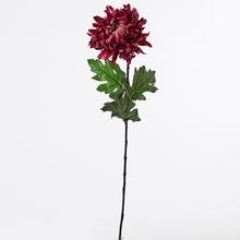 CHRYZ. KS ČER. 60X17CM - FLORASYSTEM