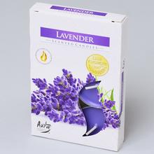 Čajová voňavých / 6 LAVENDER / NOVÁ / - FLORASYSTEM