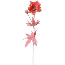 Anemonky CORAL 60CM - FLORASYSTEM
