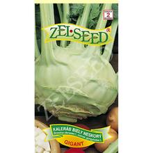 Semena pozdního bílého kedluben Gigant od ZELSEED.