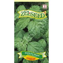 Semena bazalky Lettuce Leaf od ZELSEED.