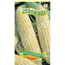 Semena kukuřice Ramondia F1 od ZELSEED.