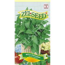 Semena máty peprné od ZELSEED.
