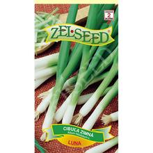 Semena zimní cibule Luna od ZELSEED.