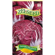 Semena čekanky salátové Palla Rossa 1g.