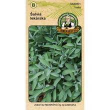 Semena šalvěje lékařské 1g.