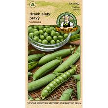 Obal semen hrachu setého Gloriosa 20g.
