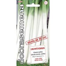 CIBULE LONG WHITE KOSHIGAYAzimná, Seck 1g - FLORASYSTEM