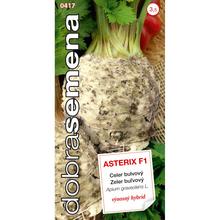 Celer bulvový hybr. ASTERIX F1 50s - FLORASYSTEM