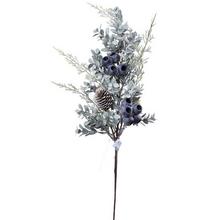 KONÁR ČUČORIEDKA 60cm - FLORASYSTEM