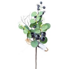 ZÁPICH ČUČORIEDKA 30cm - FLORASYSTEM
