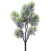 Zápich čečina zasněžená o velikosti 26 cm.