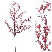 KONÁR BOBULE ČERVENÉ - FLORASYSTEM