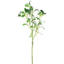JMELÍ ČÁST 63cm - FLORASYSTEM