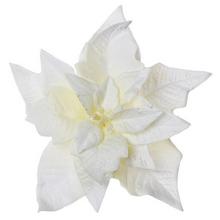 POINSETTIA BÍLÁ zasněžovat. CLIP 15CM - FLORASYSTEM