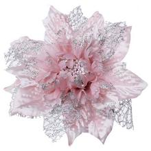 KS POINSETT Ruz - FLORASYSTEM