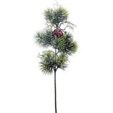 ČEČINKA 43cm - FLORASYSTEM