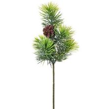 ČEČINKA + ŠIŠKA 41cm - FLORASYSTEM