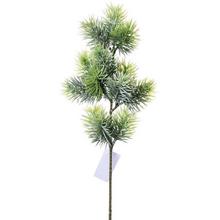 ČEČINKA 45CM - FLORASYSTEM