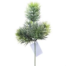 ČEČINKA 23cm - FLORASYSTEM