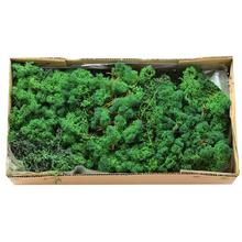 Mach prepar. MOSS GREEN Z053/ 500 g - FLORASYSTEM