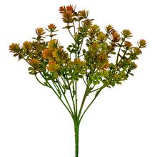 ZÁPICH HEBE ORANŽOVÉ 25CM - FLORASYSTEM