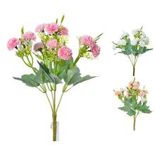 KYTICA ASTRA. MIX 3F 30cm - FLORASYSTEM