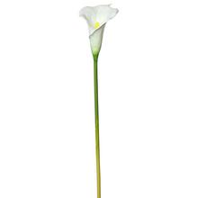 KS CALLA BÍLÁ 70CM - FLORASYSTEM