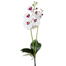 KS ORCHIDEA 2 VÝHONKY 55CM BIE-RUŽ - FLORASYSTEM