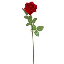 KS RUŽA ČERVENÁ 78cm - FLORASYSTEM