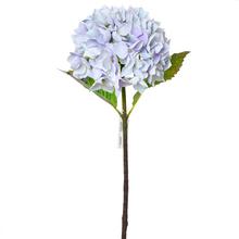 KS HYDRANGEA FIAL. 80CM - FLORASYSTEM