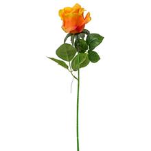 KS RUŽA ORANŽ. 45cm - FLORASYSTEM