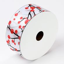 AKCIA! STUHA HALÚZKA 9Mx40MM - FLORASYSTEM