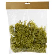 MACH V SÁČKU SV.ZELENÝ 250G - FLORASYSTEM