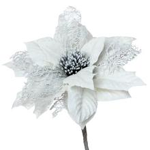 POINSETIA KLIP IVORY 11CM - FLORASYSTEM