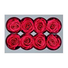 Ruža preparovaná 4cm DARK PINK /ks - FLORASYSTEM