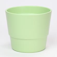 AKCIA OBAL PRIMULA PIST.MAT 16CM - FLORASYSTEM