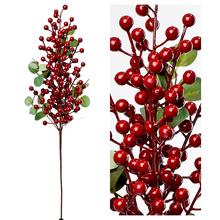 KONÁR BOBUĽA ČER.68CM - FLORASYSTEM