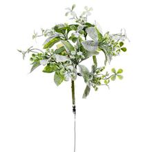 ZELEŇ ZÁPICH OSNEŽ.33CM - FLORASYSTEM