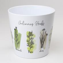 AKCIA OBAL DALLAS CULINARY HERBS 14CM - FLORASYSTEM