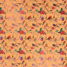 AKCIA! FÓLIA BIRD BOBINE 40MY 0,80X40MT bird arancio - FLORASYSTEM