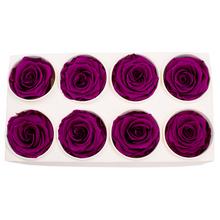 Ruža preparovaná 5cm VELVET PLUM /ks - FLORASYSTEM