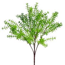 ZÁPICH LÍSTKY ORANŽOVÉ 32CM - FLORASYSTEM