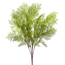 ZÁPICH ASPARAGUS 44CM - FLORASYSTEM
