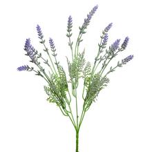 ZÁPICH LEVANDUĽA FIAL. - FLORASYSTEM