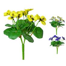 KS VIOLA 3F 20cm - FLORASYSTEM